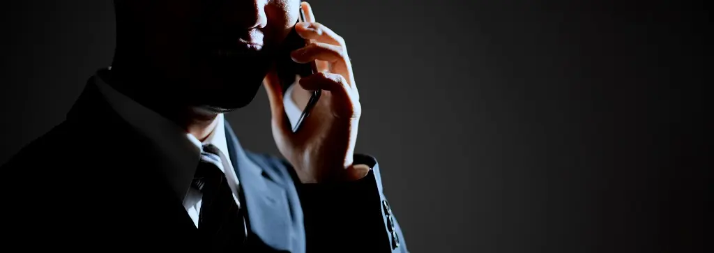 fraudulent schemes artifices