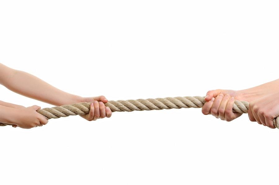 cost of contesting a will